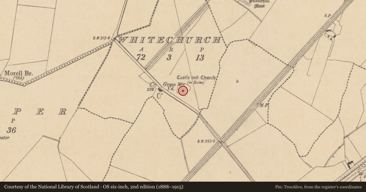 Ordnance Survey six-inch map, 2nd edition (1888–1915) covering the location of Graveyard, Whitechurch, County Kildare, with a pin at the register's coordinates