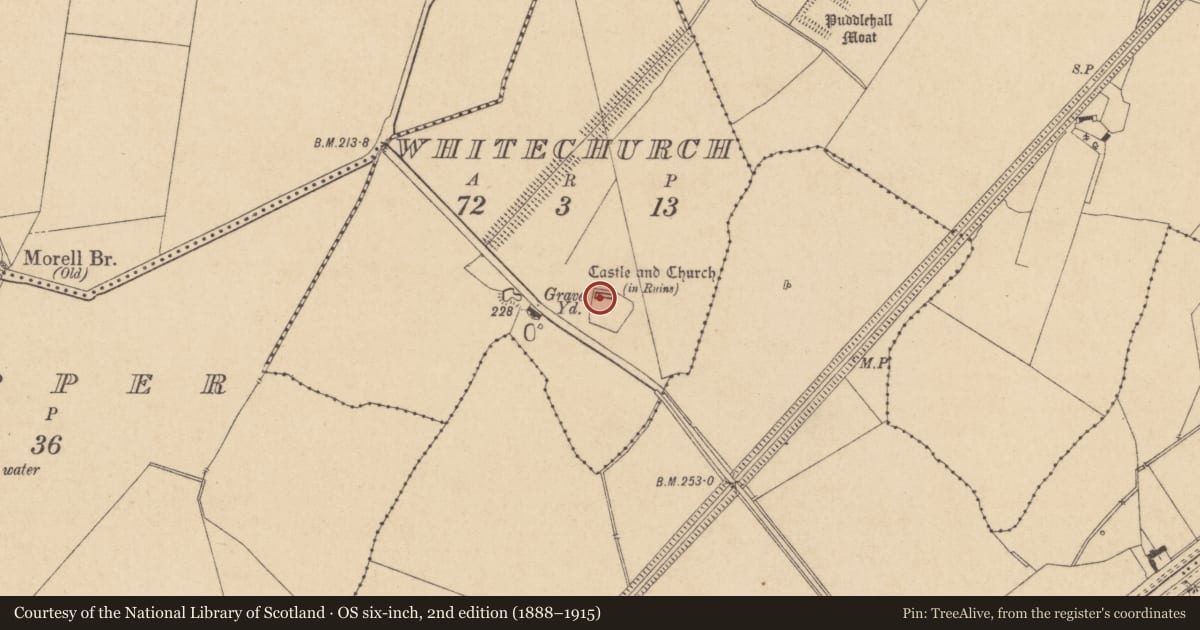 Ordnance Survey six-inch map, 2nd edition (1888–1915) covering the location of Font, Whitechurch, County Kildare, with a pin at the register's coordinates