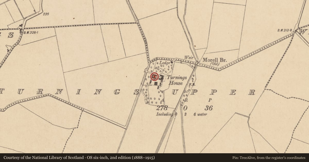 Ordnance Survey six-inch map, 2nd edition (1888–1915) covering the location of Inscribed stone, Turnings Upper, County Kildare, with a pin at the register's coordinates