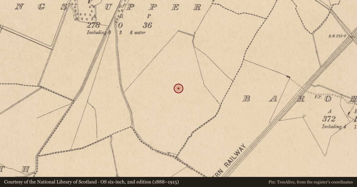 Ordnance Survey six-inch map, 2nd edition (1888–1915) covering the location of Ringfort - unclassified, Turnings Upper, County Kildare, with a pin at the register's coordinates