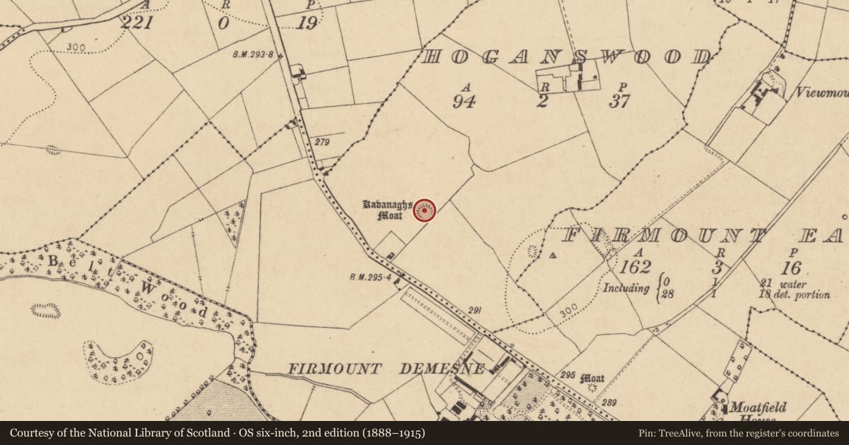 Ordnance Survey six-inch map, 2nd edition (1888–1915) covering the location of Ringfort - rath, Hoganswood, County Kildare, with a pin at the register's coordinates