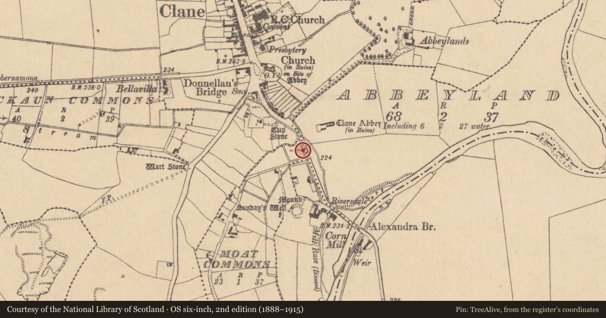 Ordnance Survey six-inch map, 2nd edition (1888–1915) covering the location of Historic town, County Kildare, with a pin at the register's coordinates