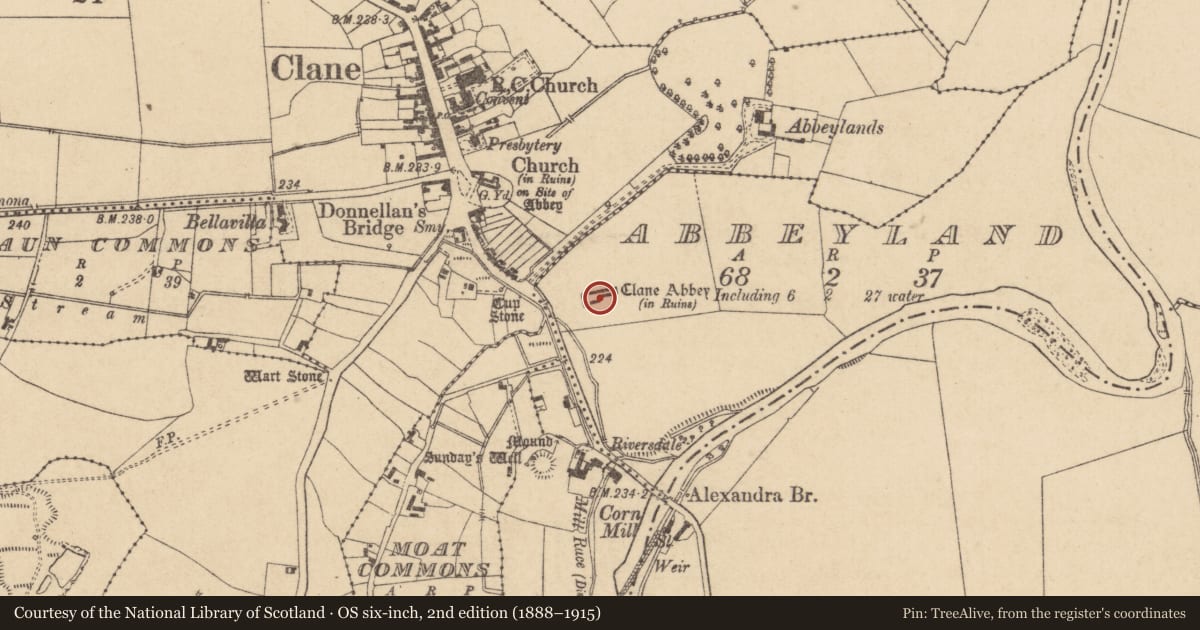 Ordnance Survey six-inch map, 2nd edition (1888–1915) covering the location of Religious house - Franciscan friars, Abbeyland, County Kildare, with a pin at the register's coordinates