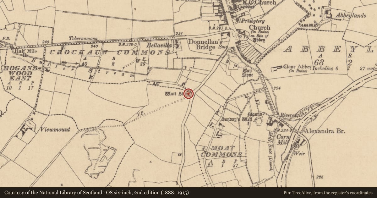 Ordnance Survey six-inch map, 2nd edition (1888–1915) covering the location of Cross - Wayside cross, Clane, County Kildare, with a pin at the register's coordinates