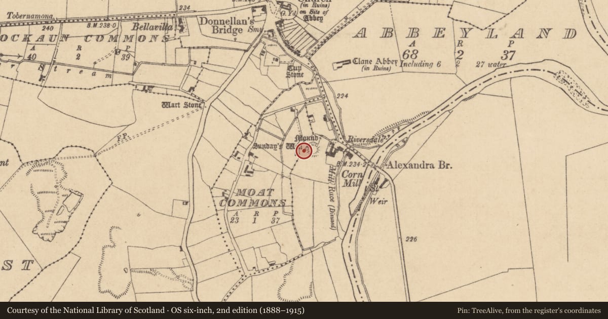 Ordnance Survey six-inch map, 2nd edition (1888–1915) covering the location of Ritual site - holy well, Carrigeen, County Kildare, with a pin at the register's coordinates