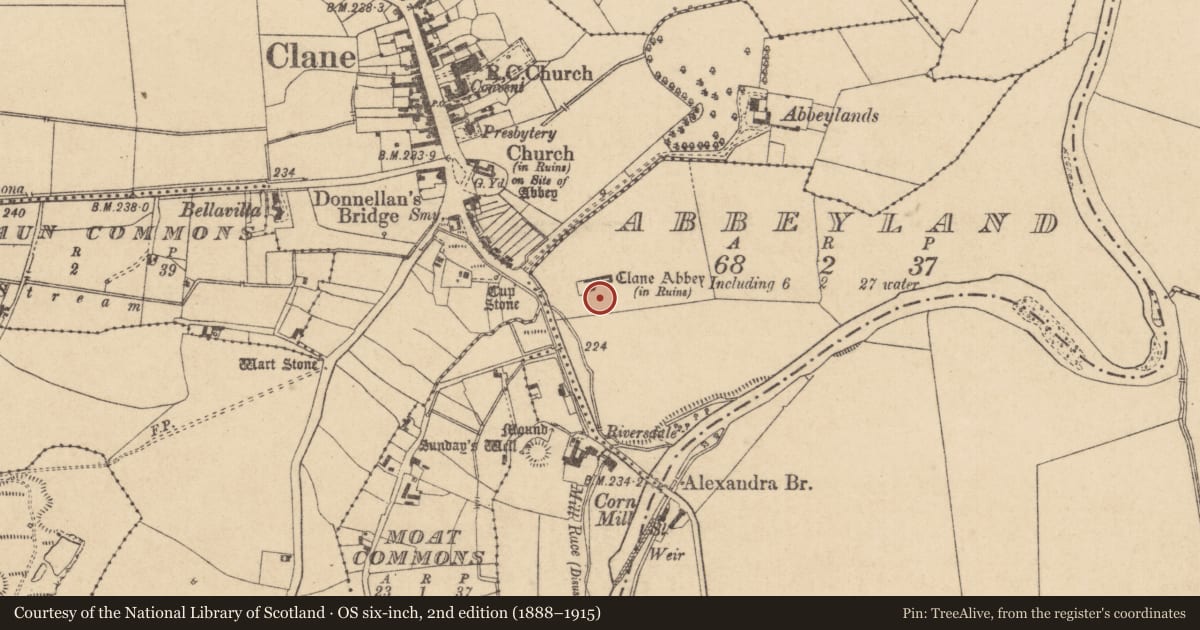 Ordnance Survey six-inch map, 2nd edition (1888–1915) covering the location of Graveyard, Abbeyland, County Kildare, with a pin at the register's coordinates