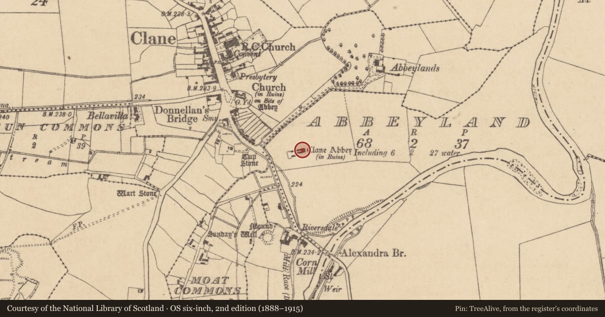 Ordnance Survey six-inch map, 2nd edition (1888–1915) covering the location of Tomb - effigial, Abbeyland, County Kildare, with a pin at the register's coordinates