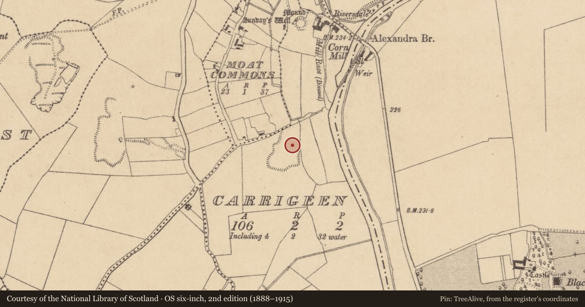 Ordnance Survey six-inch map, 2nd edition (1888–1915) covering the location of Megalithic structure, Carrigeen, County Kildare, with a pin at the register's coordinates