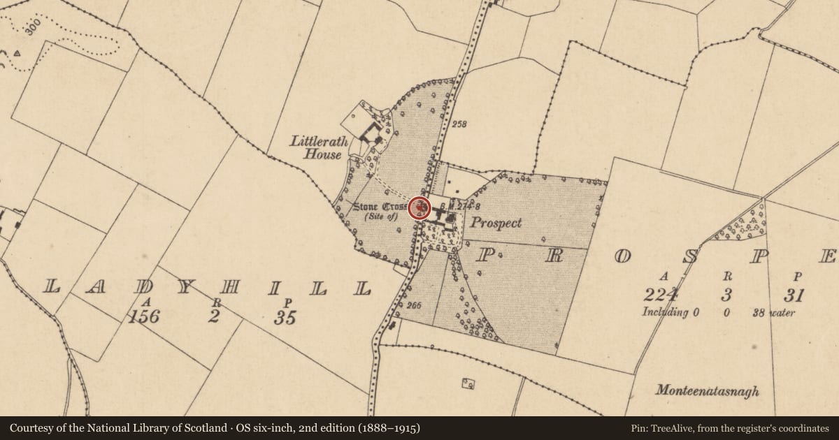 Ordnance Survey six-inch map, 2nd edition (1888–1915) covering the location of Cross - Wayside cross, Littlerath, County Kildare, with a pin at the register's coordinates