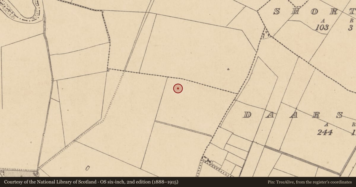 Ordnance Survey six-inch map, 2nd edition (1888–1915) covering the location of Earthwork, Blackhall, County Kildare, with a pin at the register's coordinates