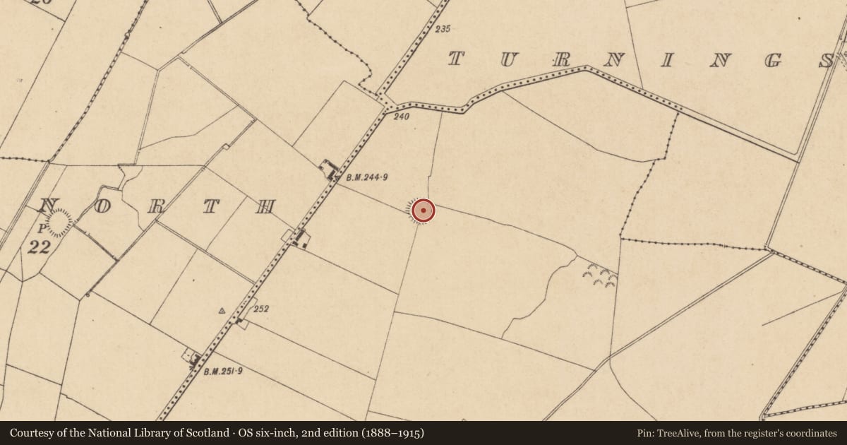 Ordnance Survey six-inch map, 2nd edition (1888–1915) covering the location of Ringfort - rath, Daars South, County Kildare, with a pin at the register's coordinates