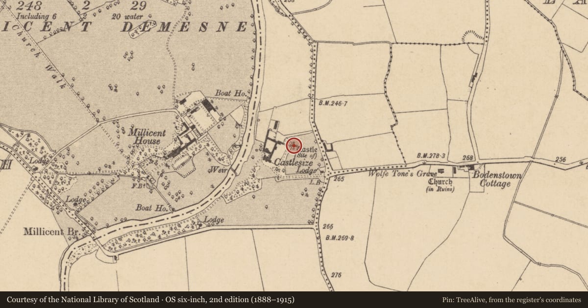 Ordnance Survey six-inch map, 2nd edition (1888–1915) covering the location of Castle - unclassified, Castlesize, County Kildare, with a pin at the register's coordinates