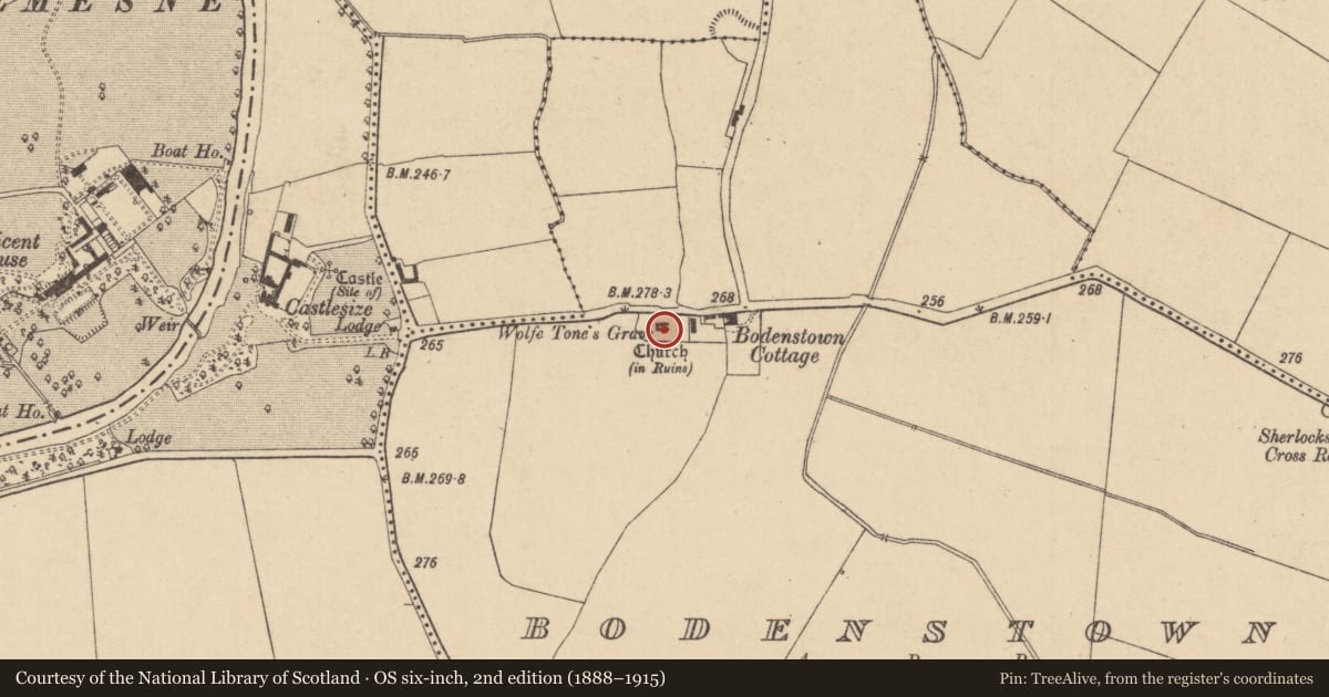 Ordnance Survey six-inch map, 2nd edition (1888–1915) covering the location of Church, Bodenstown, County Kildare, with a pin at the register's coordinates