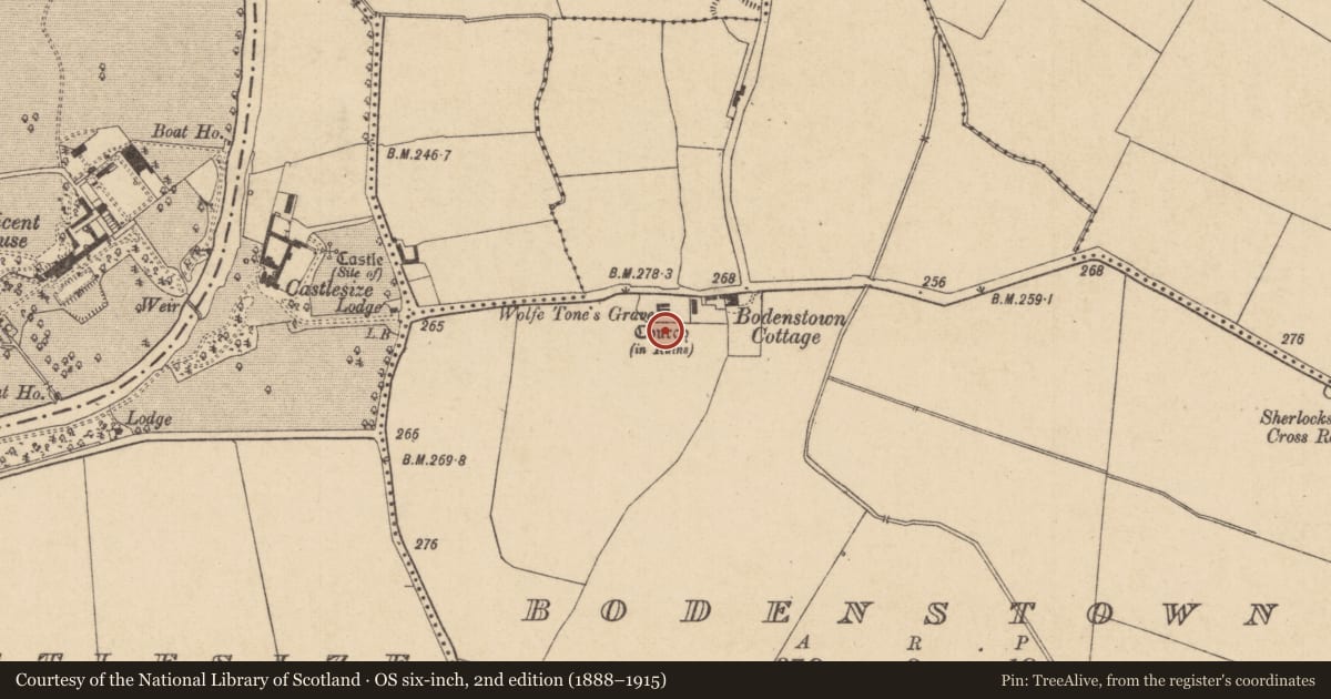 Ordnance Survey six-inch map, 2nd edition (1888–1915) covering the location of Graveyard, Bodenstown, County Kildare, with a pin at the register's coordinates