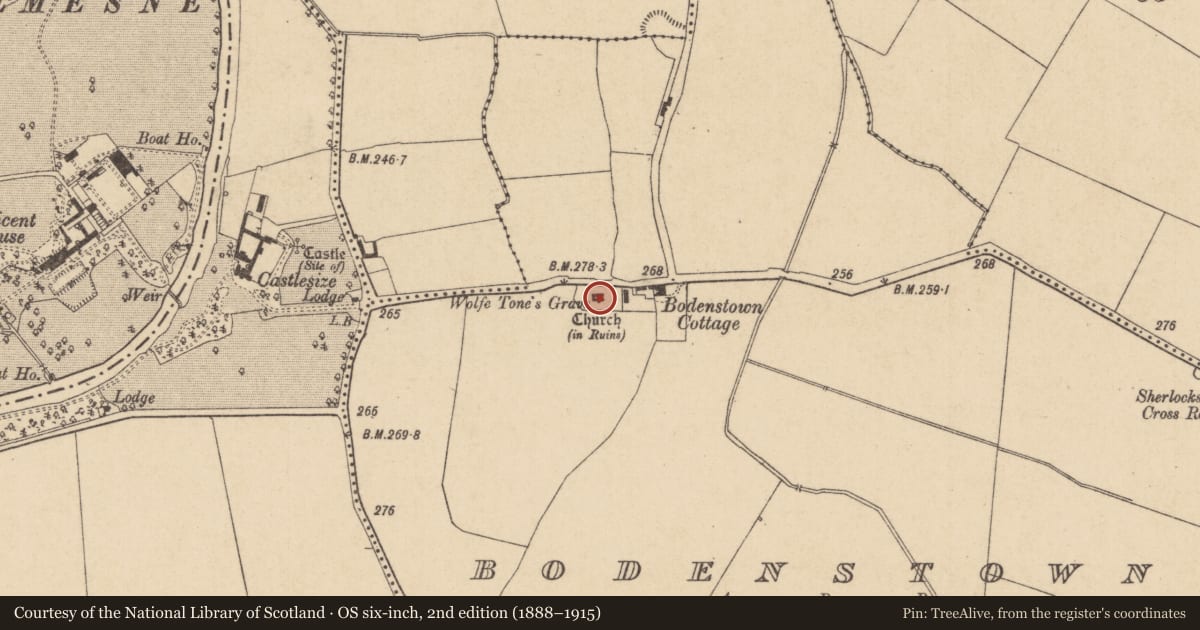 Ordnance Survey six-inch map, 2nd edition (1888–1915) covering the location of Font, Bodenstown, County Kildare, with a pin at the register's coordinates