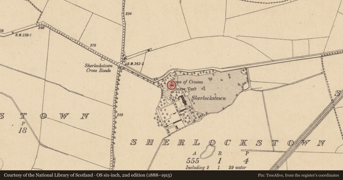 Ordnance Survey six-inch map, 2nd edition (1888–1915) covering the location of Cross - Wayside cross (present location), Sherlockstown, County Kildare, with a pin at the register's coordinates