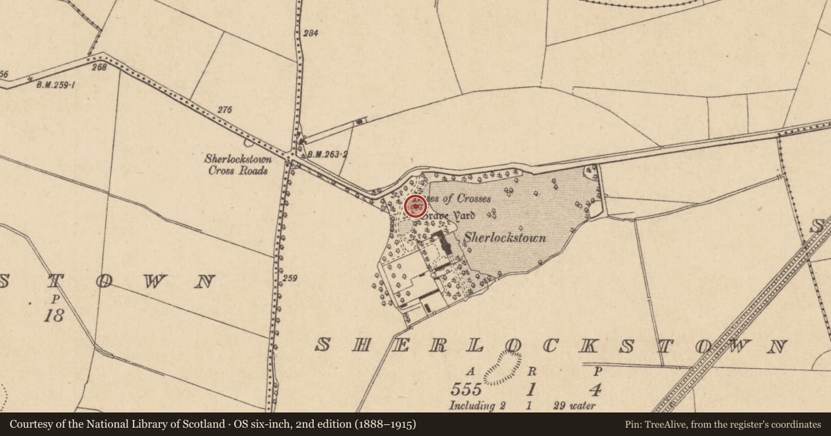 Ordnance Survey six-inch map, 2nd edition (1888–1915) covering the location of Graveyard, Sherlockstown, County Kildare, with a pin at the register's coordinates