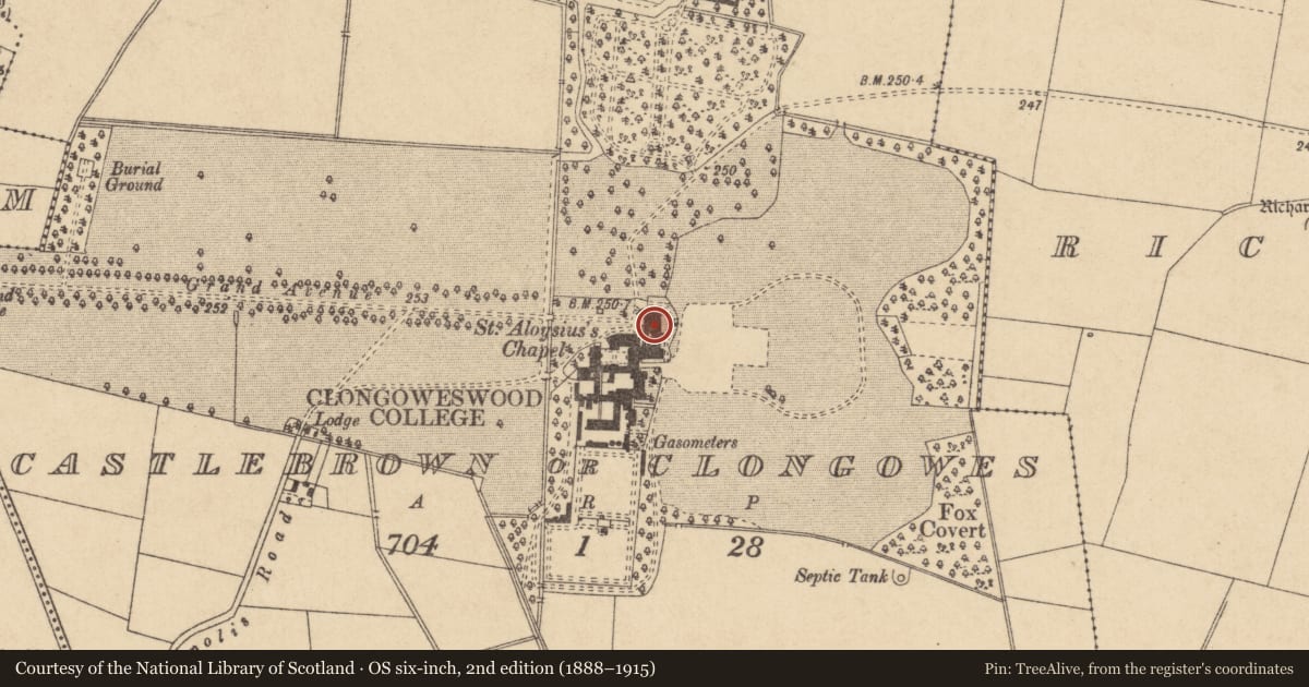 Ordnance Survey six-inch map, 2nd edition (1888–1915) covering the location of Castle - tower house, Castlebrown Or Clongowes, County Kildare, with a pin at the register's coordinates