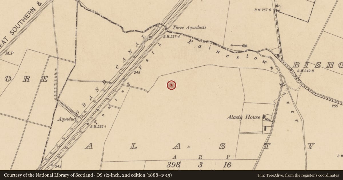 Ordnance Survey six-inch map, 2nd edition (1888–1915) covering the location of Mound, Alasty, County Kildare, with a pin at the register's coordinates