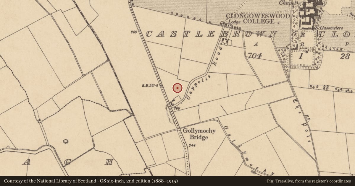 Ordnance Survey six-inch map, 2nd edition (1888–1915) covering the location of Earthwork, Castlebrown Or Clongowes, County Kildare, with a pin at the register's coordinates