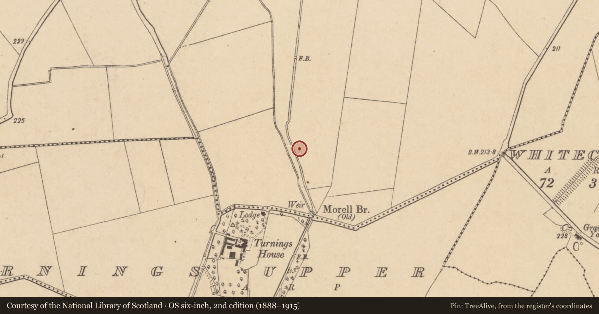 Ordnance Survey six-inch map, 2nd edition (1888–1915) covering the location of Fulacht fia, Turnings Upper, County Kildare, with a pin at the register's coordinates