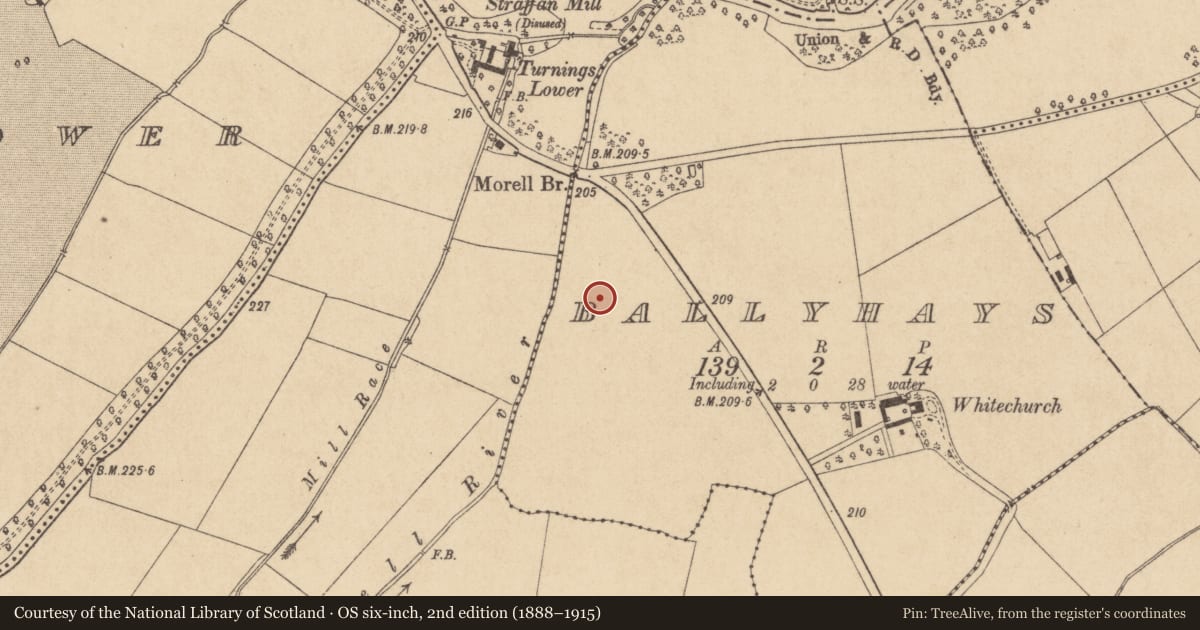 Ordnance Survey six-inch map, 2nd edition (1888–1915) covering the location of Ring-ditch, Ballyhays, County Kildare, with a pin at the register's coordinates