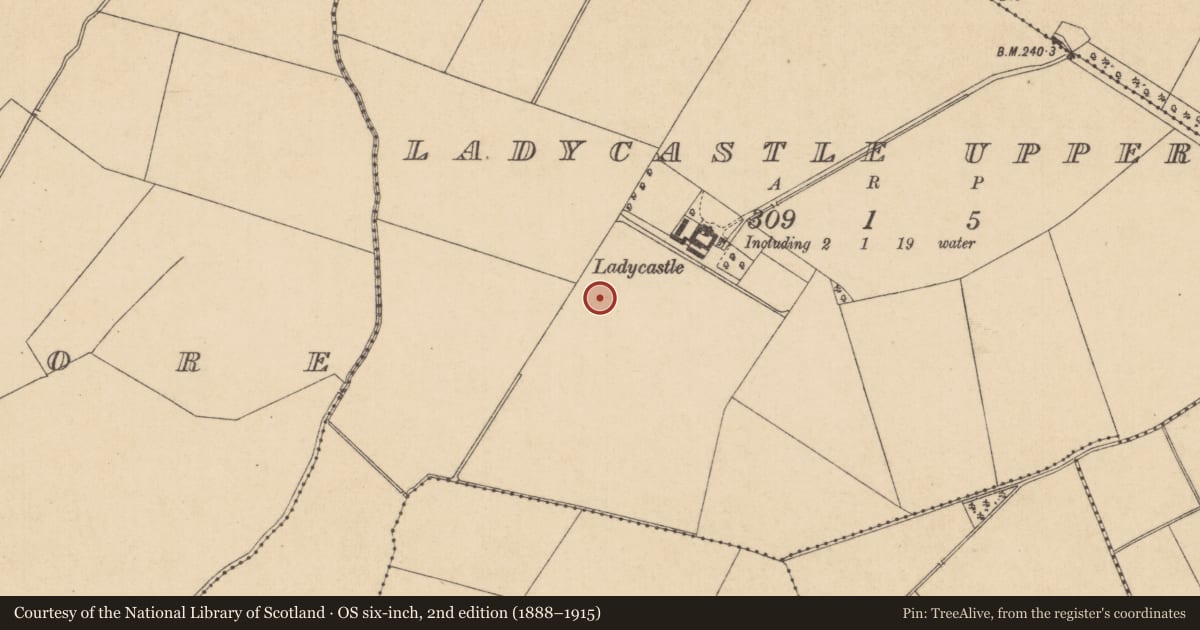 Ordnance Survey six-inch map, 2nd edition (1888–1915) covering the location of Enclosure, Ladycastle Upper, County Kildare, with a pin at the register's coordinates