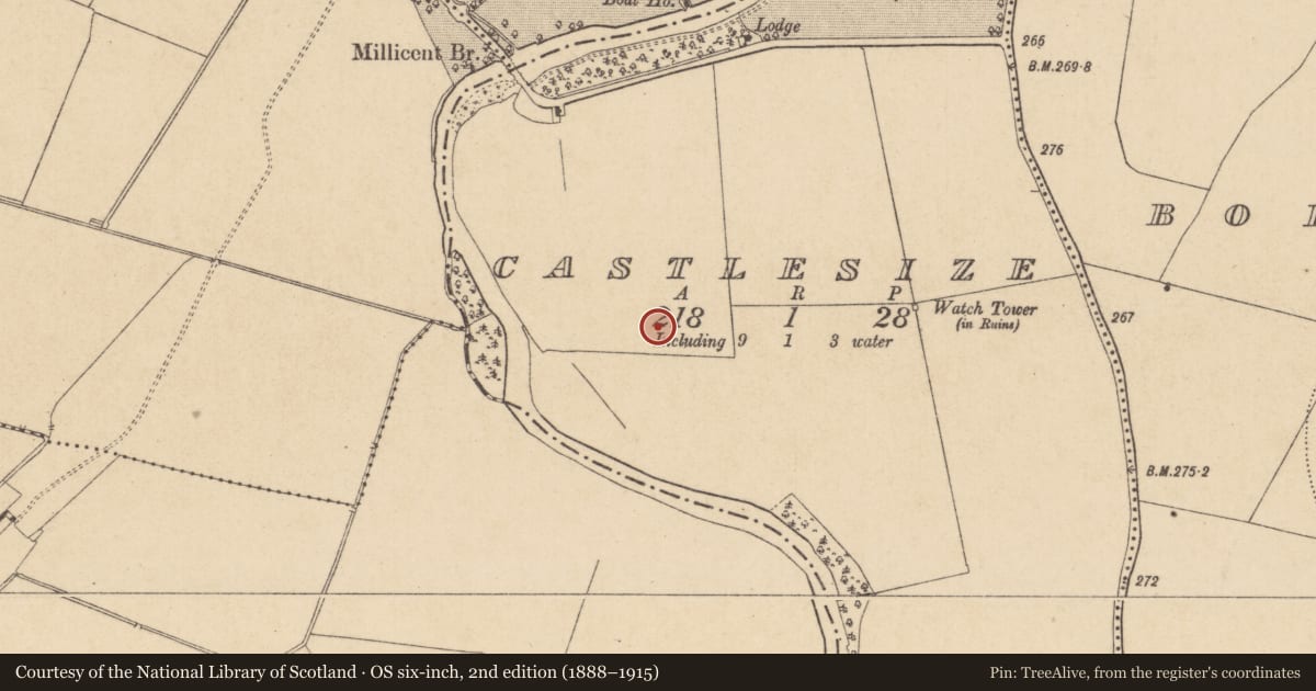 Ordnance Survey six-inch map, 2nd edition (1888–1915) covering the location of Enclosure, Castlesize, County Kildare, with a pin at the register's coordinates