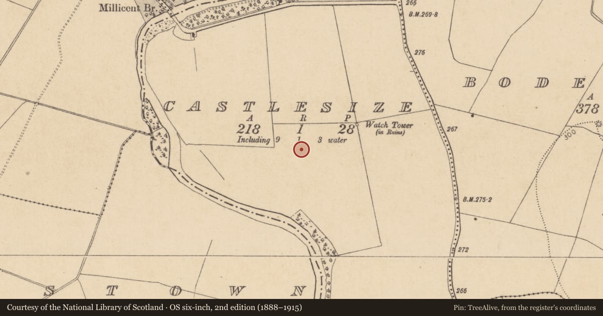 Ordnance Survey six-inch map, 2nd edition (1888–1915) covering the location of Barrow - unclassified, Castlesize, County Kildare, with a pin at the register's coordinates