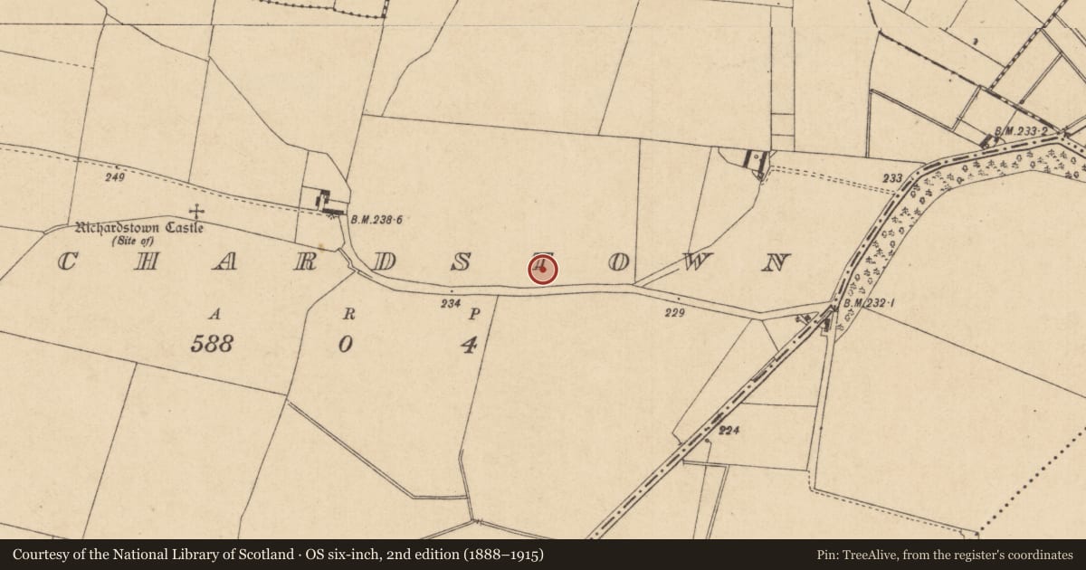Ordnance Survey six-inch map, 2nd edition (1888–1915) covering the location of Enclosure, Richardstown, County Kildare, with a pin at the register's coordinates