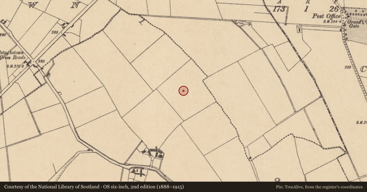 Ordnance Survey six-inch map, 2nd edition (1888–1915) covering the location of Enclosure, Ballynagappagh, County Kildare, with a pin at the register's coordinates