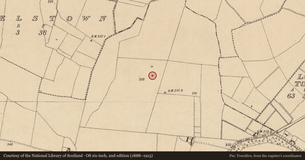 Ordnance Survey six-inch map, 2nd edition (1888–1915) covering the location of Barrow - unclassified, Richardstown, County Kildare, with a pin at the register's coordinates