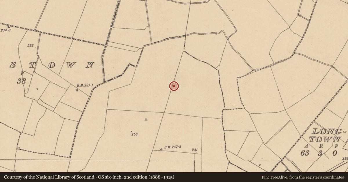 Ordnance Survey six-inch map, 2nd edition (1888–1915) covering the location of Enclosure, Richardstown, County Kildare, with a pin at the register's coordinates