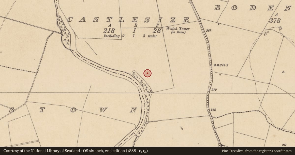 Ordnance Survey six-inch map, 2nd edition (1888–1915) covering the location of Barrow - ditch barrow, Castlesize, County Kildare, with a pin at the register's coordinates