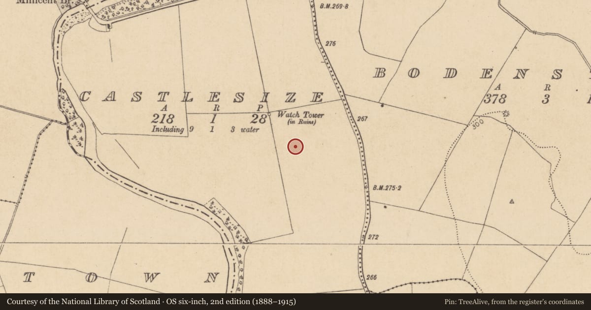 Ordnance Survey six-inch map, 2nd edition (1888–1915) covering the location of Barrow - ditch barrow, Castlesize, County Kildare, with a pin at the register's coordinates