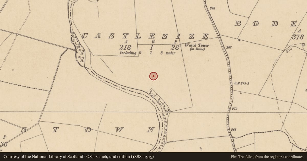 Ordnance Survey six-inch map, 2nd edition (1888–1915) covering the location of Enclosure - large enclosure, Castlesize, County Kildare, with a pin at the register's coordinates