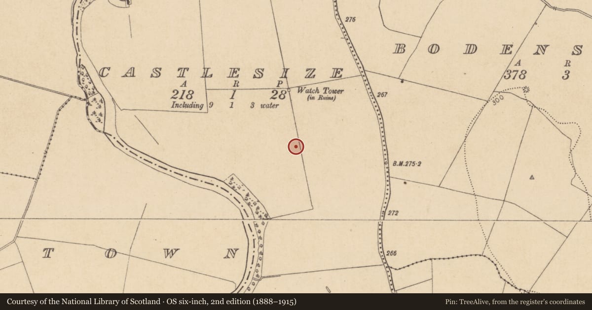 Ordnance Survey six-inch map, 2nd edition (1888–1915) covering the location of Barrow - ditch barrow, Castlesize, County Kildare, with a pin at the register's coordinates