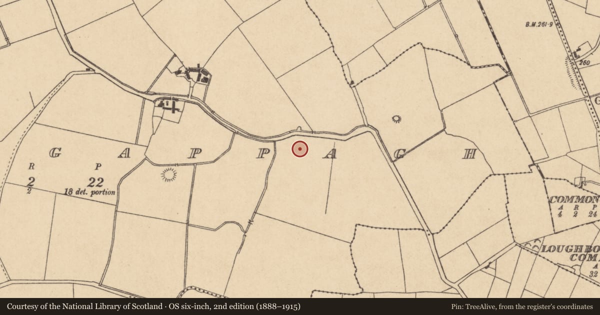 Ordnance Survey six-inch map, 2nd edition (1888–1915) covering the location of Barrow - ditch barrow, Ballynagappagh, County Kildare, with a pin at the register's coordinates