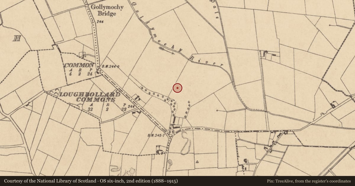 Ordnance Survey six-inch map, 2nd edition (1888–1915) covering the location of Enclosure, Castlebrown Or Clongowes, County Kildare, with a pin at the register's coordinates