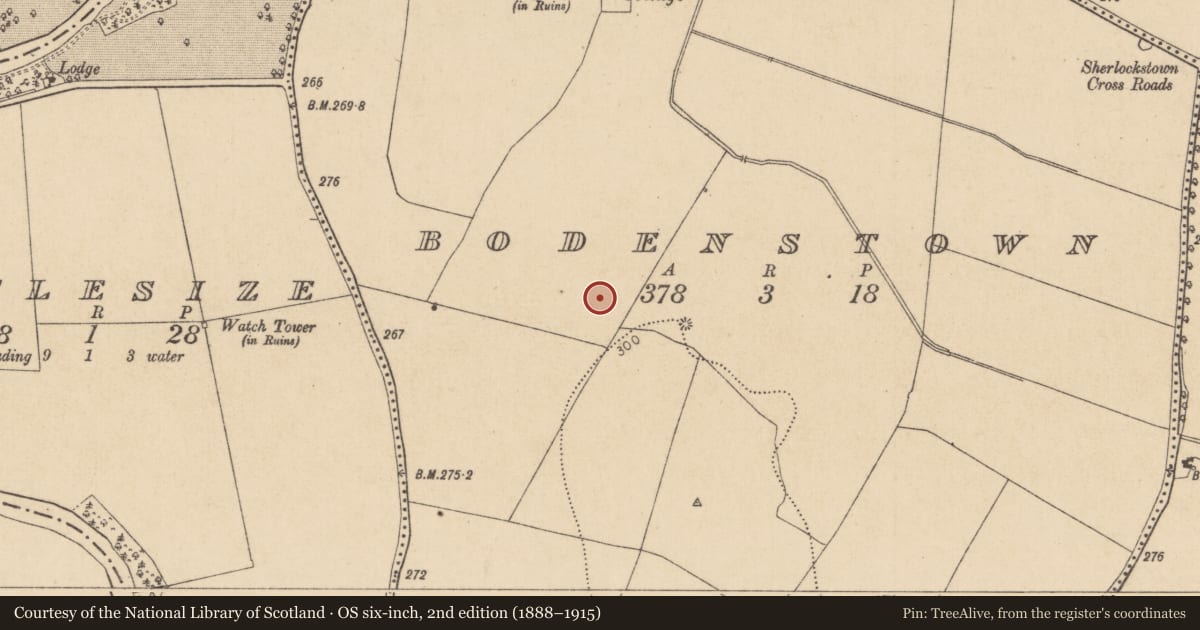 Ordnance Survey six-inch map, 2nd edition (1888–1915) covering the location of Ring-ditch, Bodenstown, County Kildare, with a pin at the register's coordinates