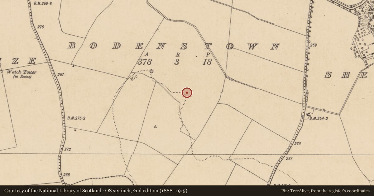 Ordnance Survey six-inch map, 2nd edition (1888–1915) covering the location of Enclosure - large enclosure, Bodenstown, County Kildare, with a pin at the register's coordinates