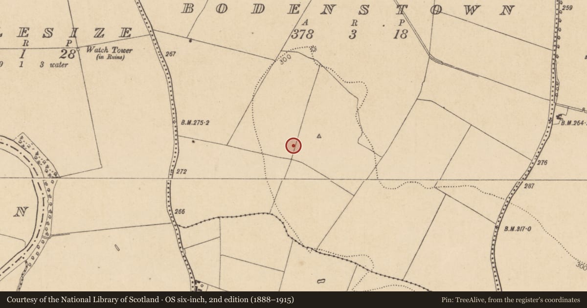 Ordnance Survey six-inch map, 2nd edition (1888–1915) covering the location of Ring-ditch, Bodenstown, County Kildare, with a pin at the register's coordinates