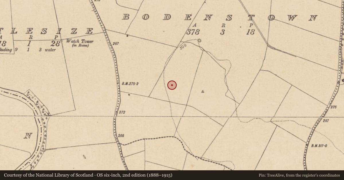 Ordnance Survey six-inch map, 2nd edition (1888–1915) covering the location of Ring-ditch, Bodenstown, County Kildare, with a pin at the register's coordinates