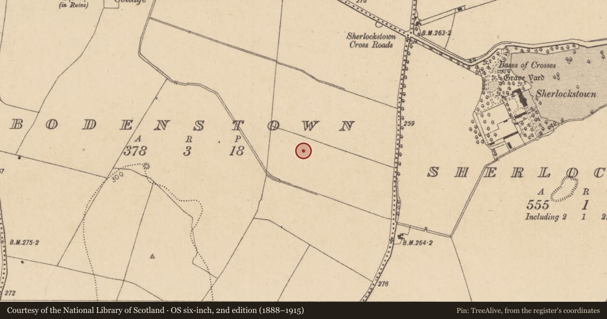 Ordnance Survey six-inch map, 2nd edition (1888–1915) covering the location of Ring-ditch, Bodenstown, County Kildare, with a pin at the register's coordinates