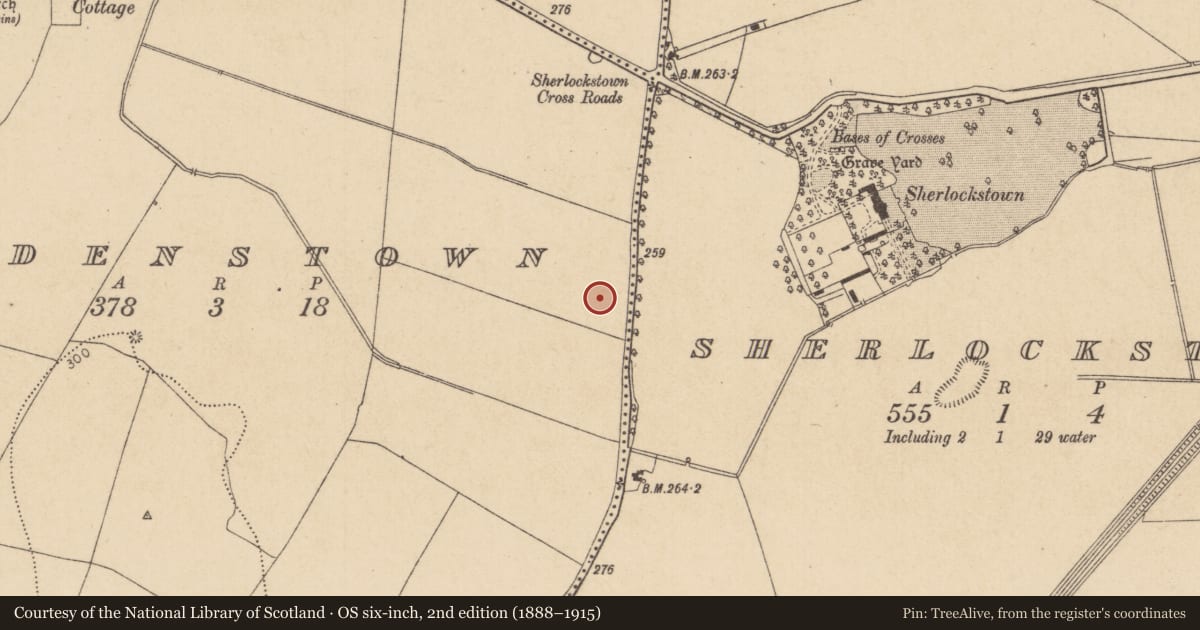 Ordnance Survey six-inch map, 2nd edition (1888–1915) covering the location of Enclosure, Bodenstown, County Kildare, with a pin at the register's coordinates