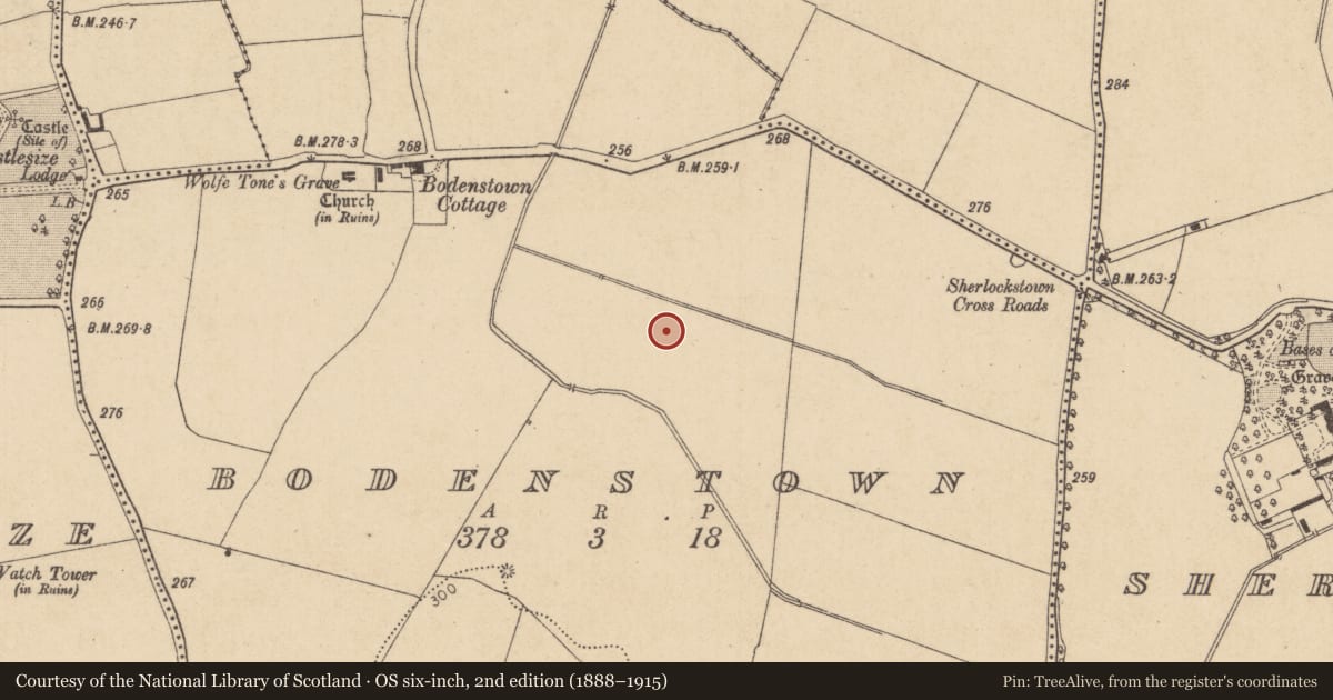 Ordnance Survey six-inch map, 2nd edition (1888–1915) covering the location of Ring-ditch, Bodenstown, County Kildare, with a pin at the register's coordinates