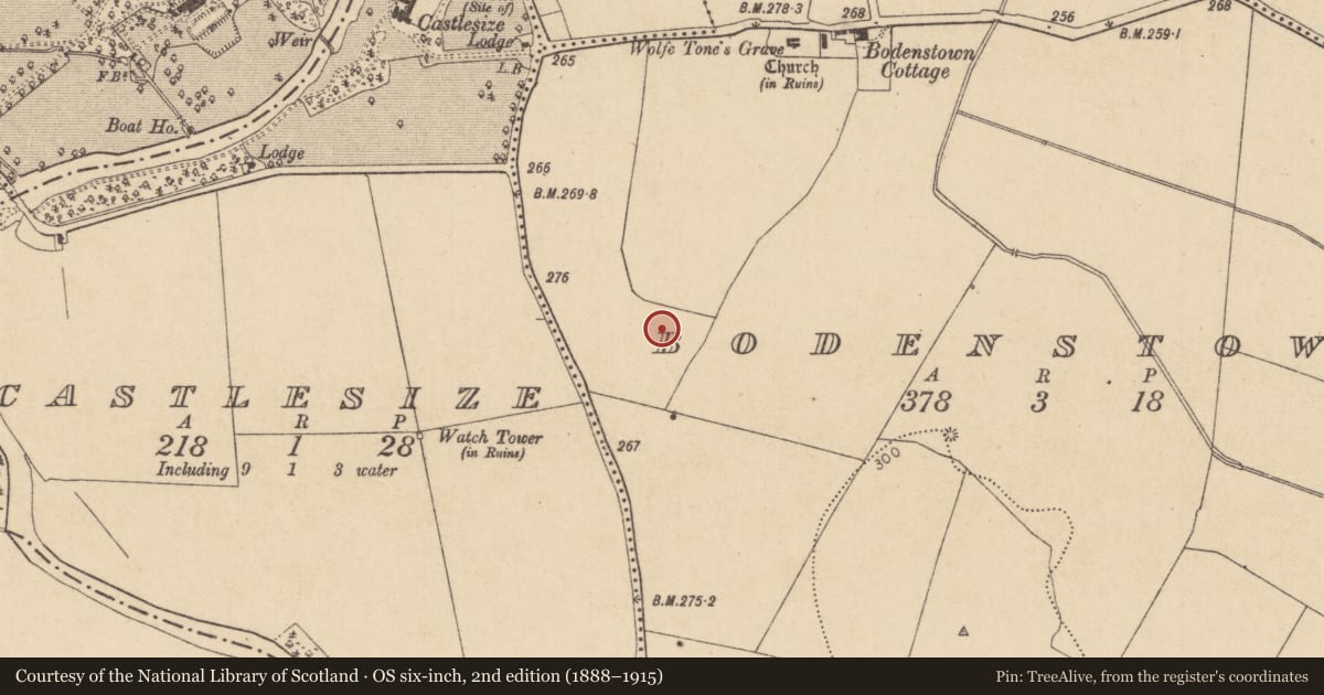 Ordnance Survey six-inch map, 2nd edition (1888–1915) covering the location of Ring-ditch, Bodenstown, County Kildare, with a pin at the register's coordinates