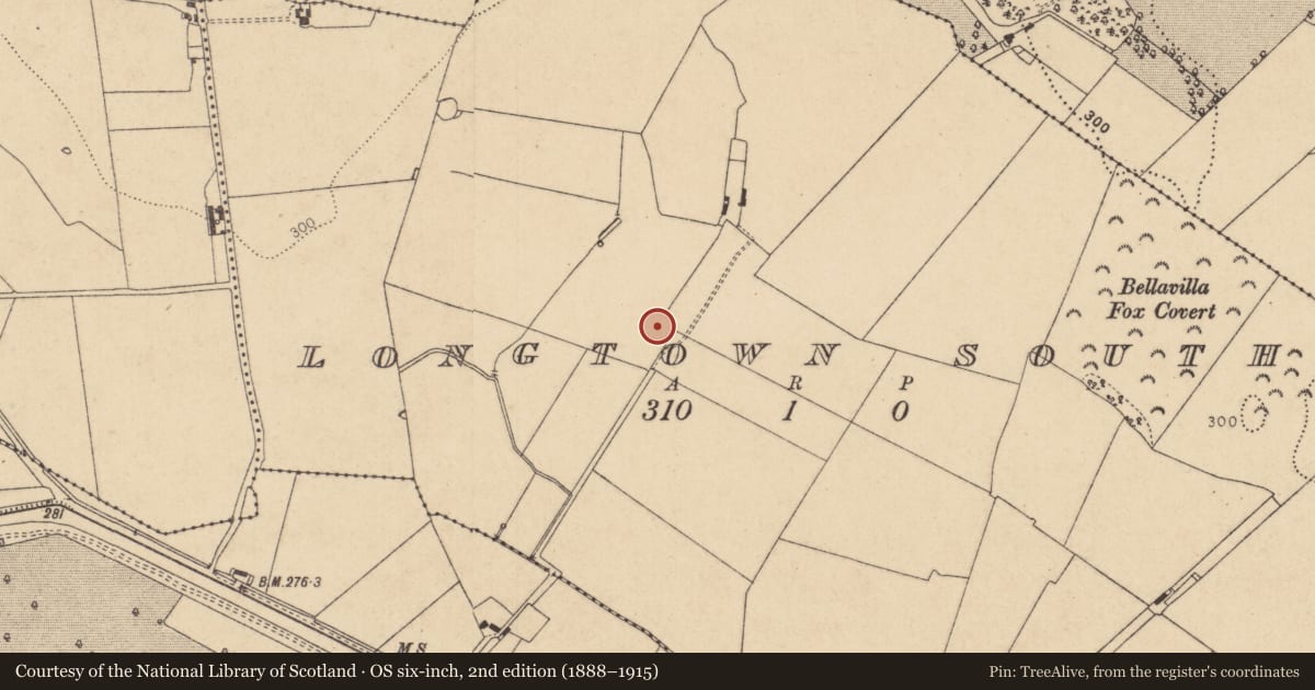 Ordnance Survey six-inch map, 2nd edition (1888–1915) covering the location of Ringfort - unclassified, Longtown South, County Kildare, with a pin at the register's coordinates