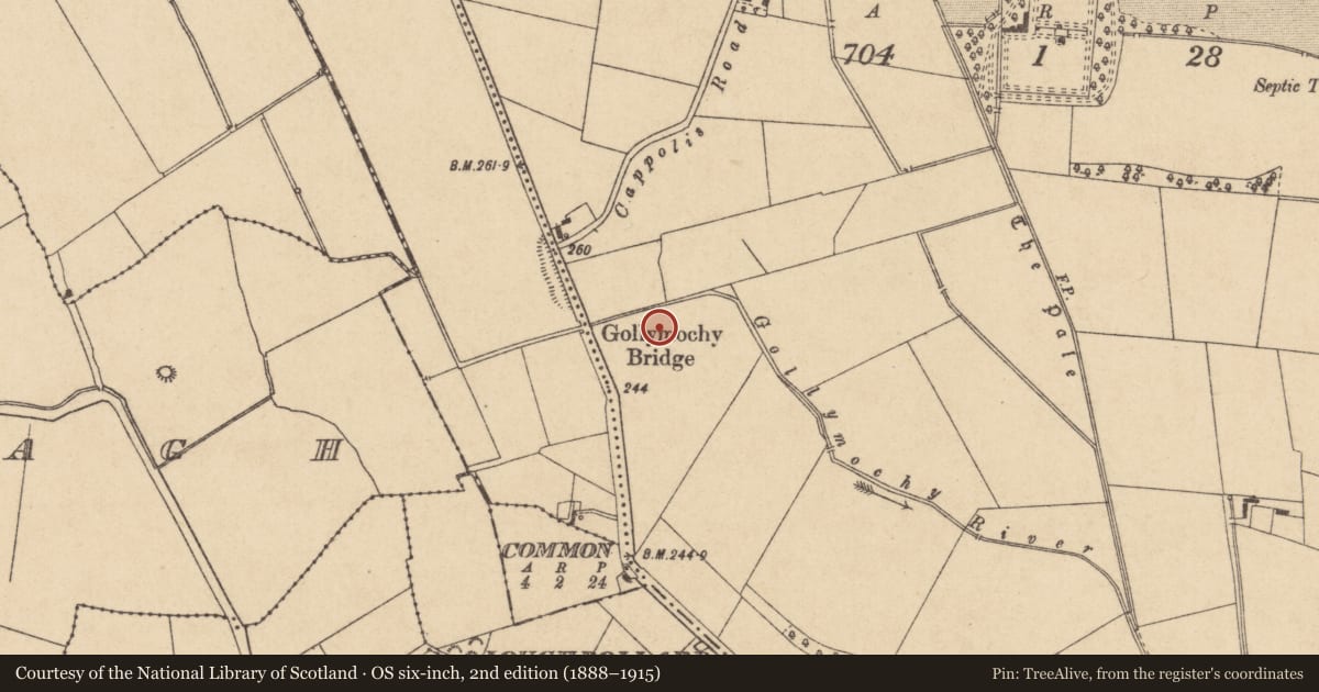 Ordnance Survey six-inch map, 2nd edition (1888–1915) covering the location of Enclosure, Castlebrown Or Clongowes, County Kildare, with a pin at the register's coordinates