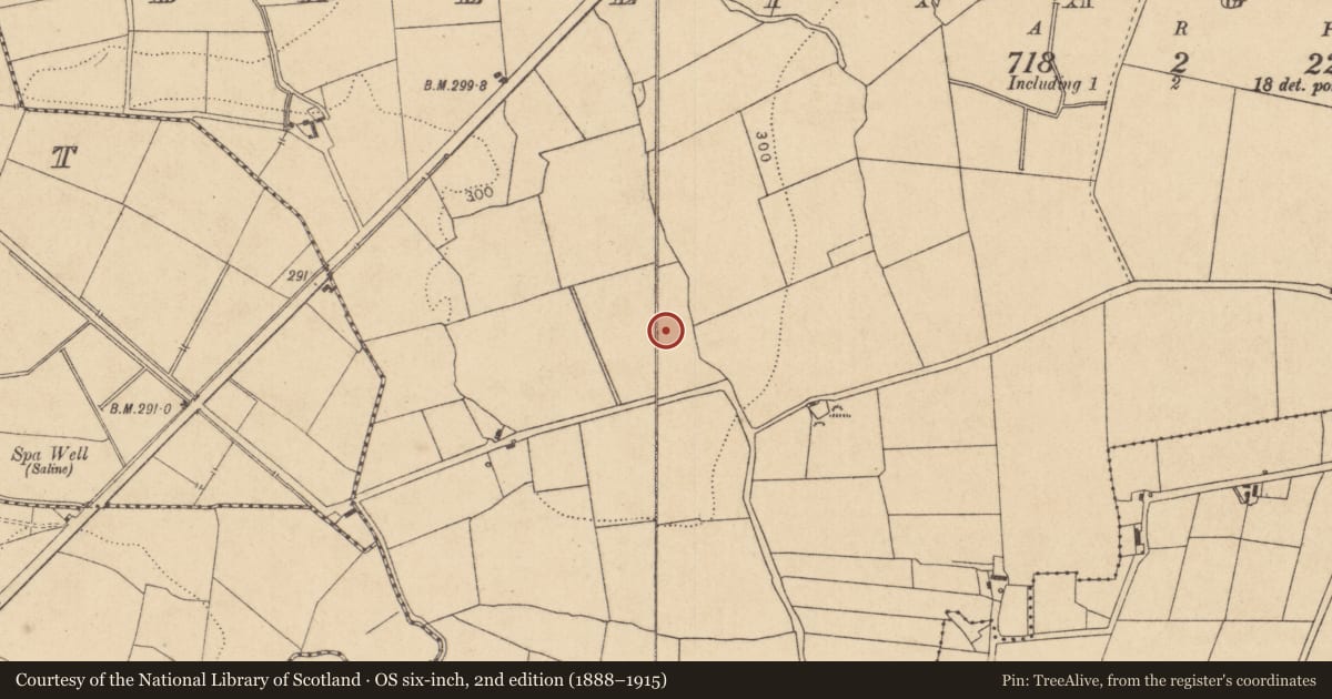 Ordnance Survey six-inch map, 2nd edition (1888–1915) covering the location of Ring-ditch, Ballynagappagh, County Kildare, with a pin at the register's coordinates